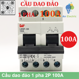 Cầu dao đảo 1 pha 2P 100A LWSF-125